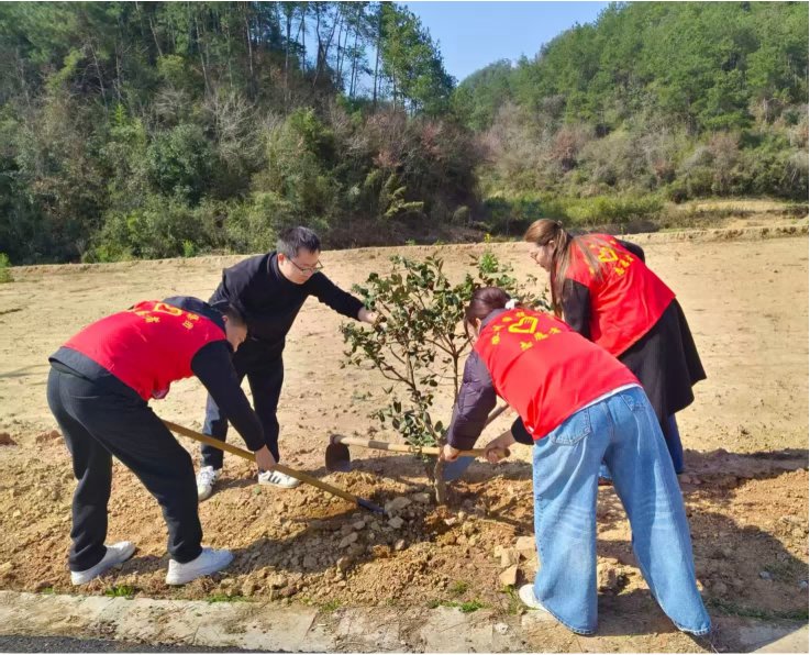 植此青綠  共建家園 ——國投集團開展植樹節文明創建活動
